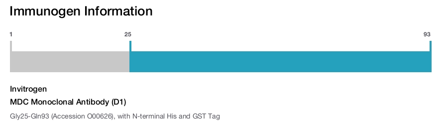 MDC Monoclonal Antibody (D1)