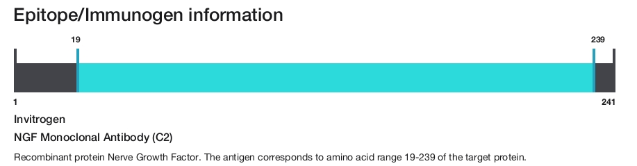 NGF Monoclonal Antibody (C2)