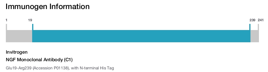 NGF Monoclonal Antibody (C1)