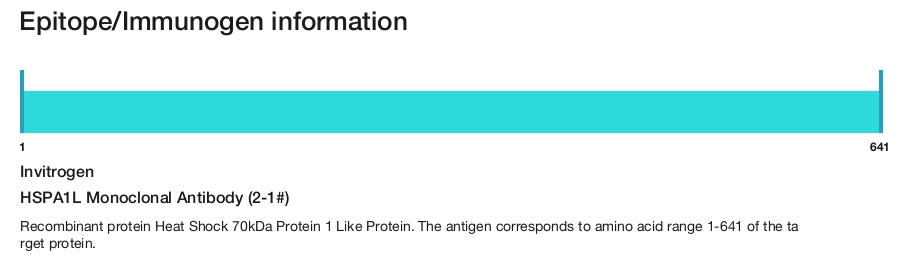 HSPA1L Monoclonal Antibody (2-1#)