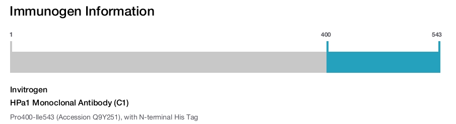 HPa1 Monoclonal Antibody (C1)