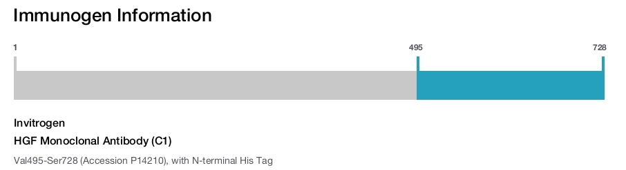 HGF Monoclonal Antibody (C1)
