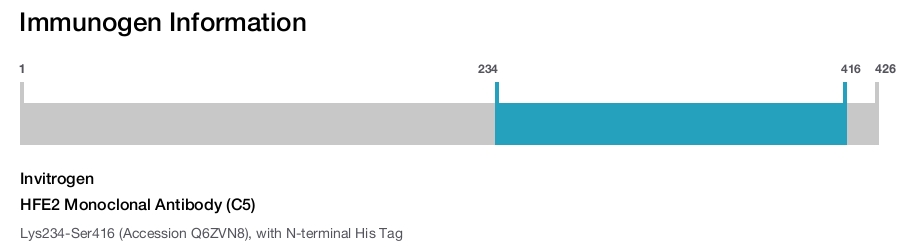 HFE2 Monoclonal Antibody (C5)