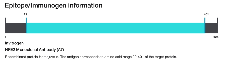 HFE2 Monoclonal Antibody (A7)