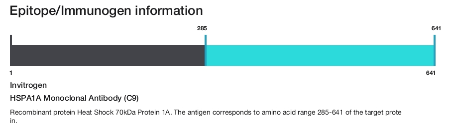 HSPA1A Monoclonal Antibody (C9)