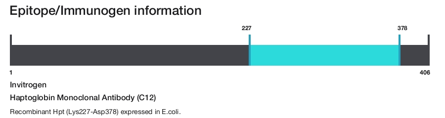 Haptoglobin Monoclonal Antibody (C12)