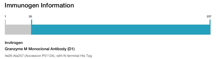 Granzyme M Monoclonal Antibody (D1)
