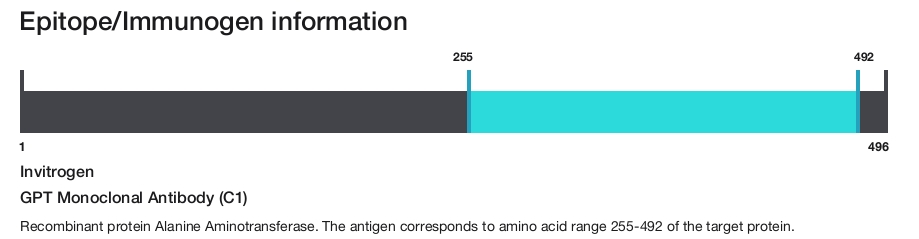 GPT Monoclonal Antibody (C1)