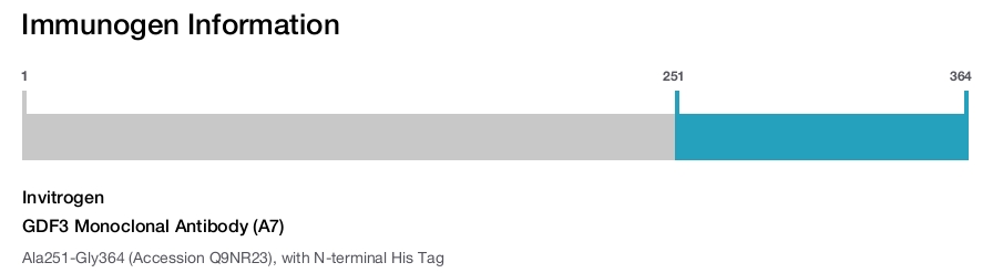 GDF3 Monoclonal Antibody (A7)