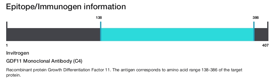 GDF11 Monoclonal Antibody (C4)