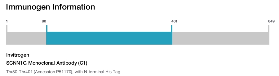 SCNN1G Monoclonal Antibody (C1)