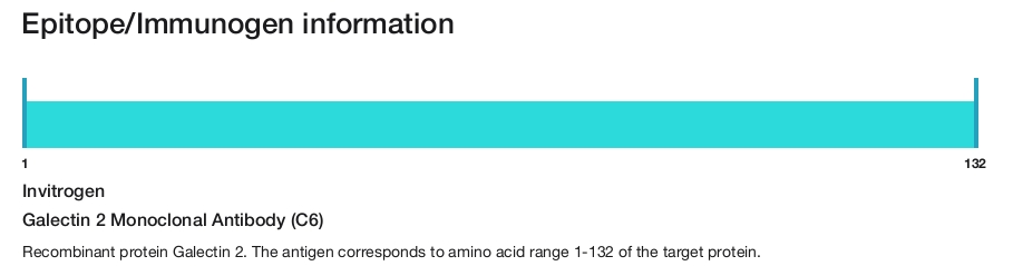 Galectin 2 Monoclonal Antibody (C6)