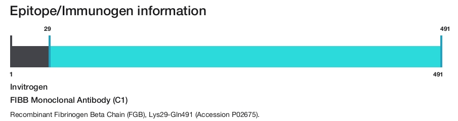 FIBB Monoclonal Antibody (C1)