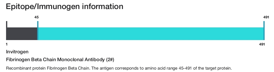 Fibrinogen Beta Chain Monoclonal Antibody (2#)