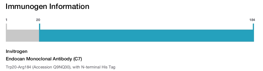 Endocan Monoclonal Antibody (C7)