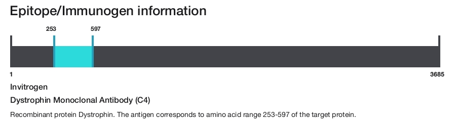 Dystrophin Monoclonal Antibody (C4)