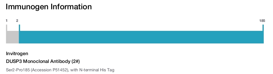 DUSP3 Monoclonal Antibody (2#)