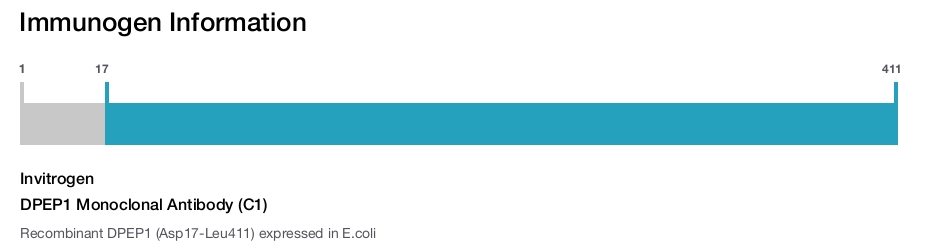 DPEP1 Monoclonal Antibody (C1)