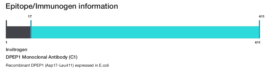 DPEP1 Monoclonal Antibody (C1)