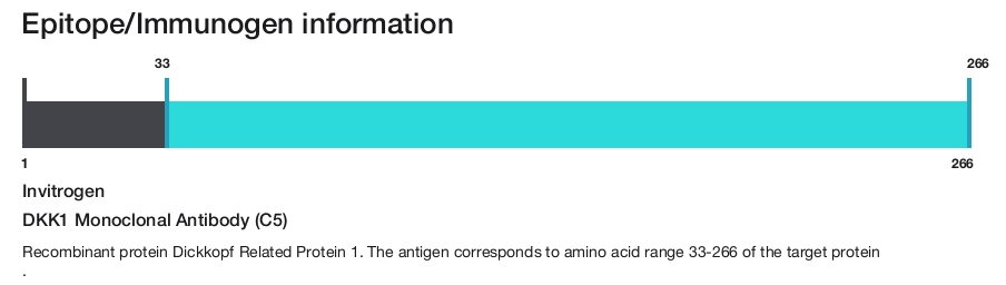 DKK1 Monoclonal Antibody (C5)
