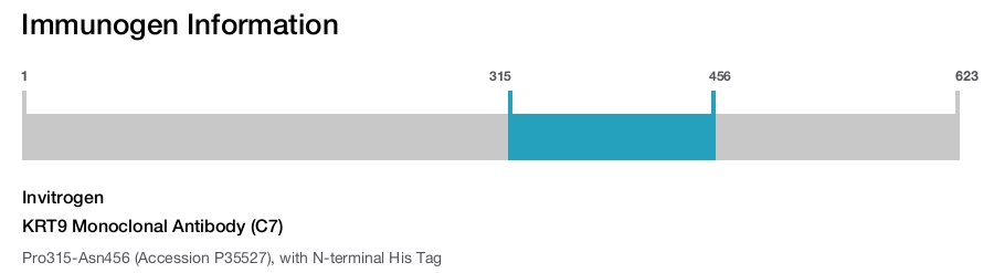 KRT9 Monoclonal Antibody (C7)