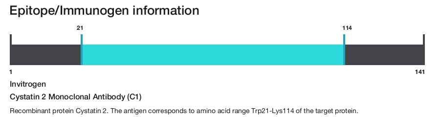 Cystatin 2 Monoclonal Antibody (C1)