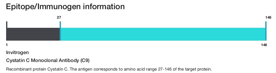 Cystatin C Monoclonal Antibody (C9)
