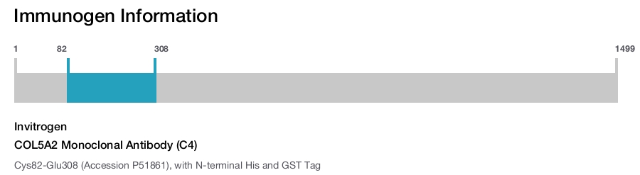 COL5A2 Monoclonal Antibody (C4)