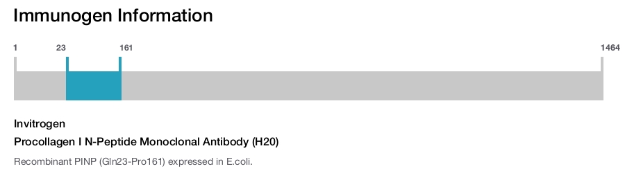 Procollagen I N-Peptide Monoclonal Antibody (H20)
