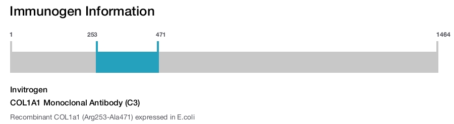 COL1A1 Monoclonal Antibody (C3)