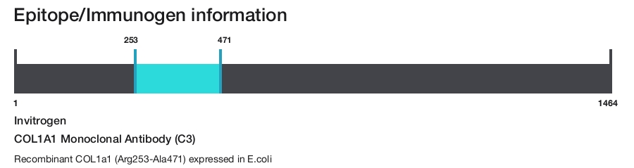 COL1A1 Monoclonal Antibody (C3)