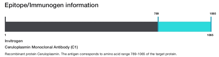 Ceruloplasmin Monoclonal Antibody (C1)