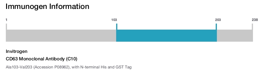 CD63 Monoclonal Antibody (C10)