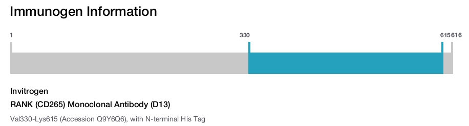 RANK (CD265) Monoclonal Antibody (D13)
