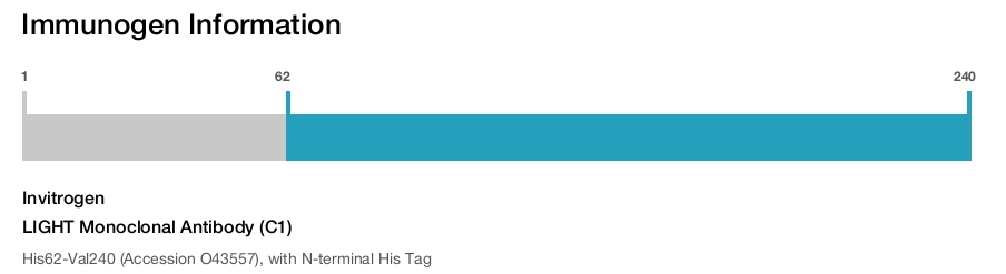 LIGHT Monoclonal Antibody (C1)