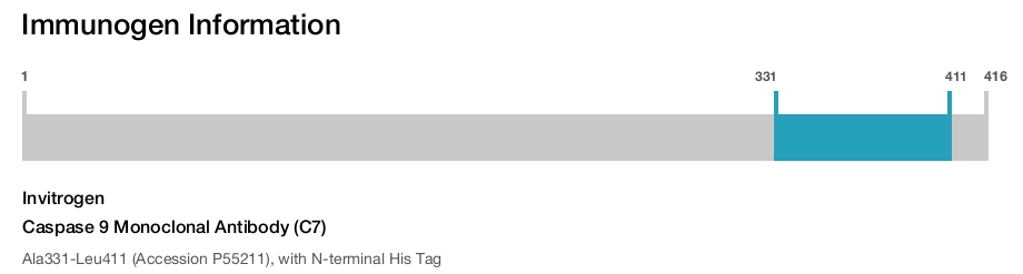 Caspase 9 Monoclonal Antibody (C7)