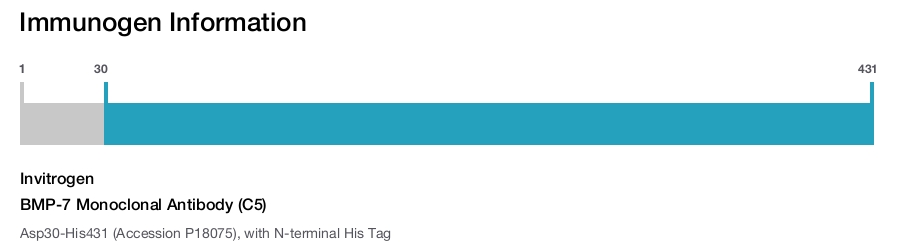 BMP-7 Monoclonal Antibody (C5)
