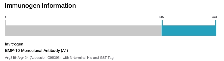 BMP-10 Monoclonal Antibody (A1)