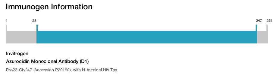 Azurocidin Monoclonal Antibody (D1)