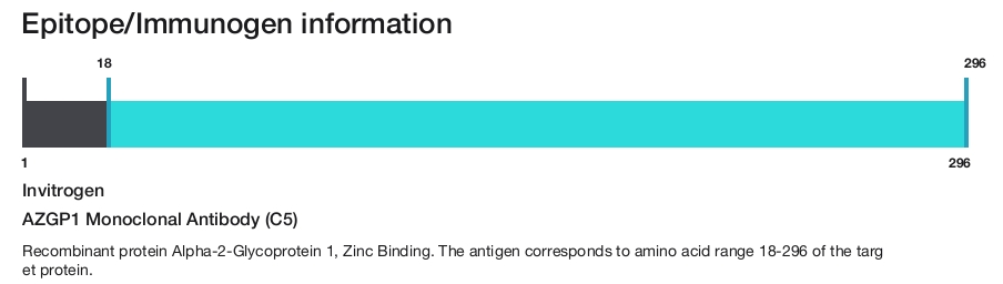 AZGP1 Monoclonal Antibody (C5)