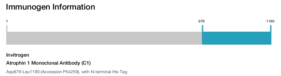 Atrophin 1 Monoclonal Antibody (C1)