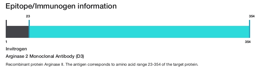 Arginase 2 Monoclonal Antibody (D3)
