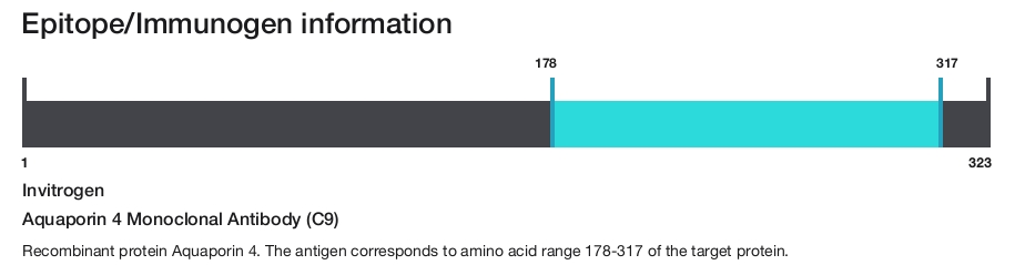 Aquaporin 4 Monoclonal Antibody (C9)