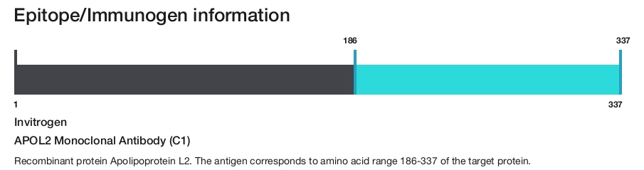 APOL2 Monoclonal Antibody (C1)