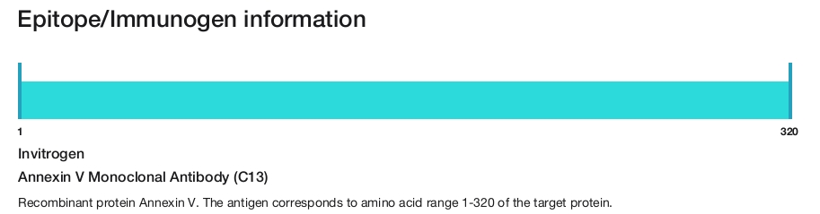 Annexin V Monoclonal Antibody (C13)