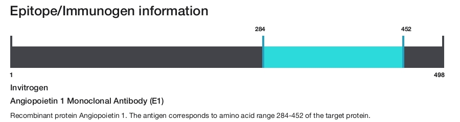 Angiopoietin 1 Monoclonal Antibody (E1)