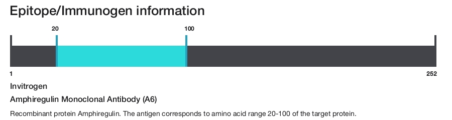 Amphiregulin Monoclonal Antibody (A6)