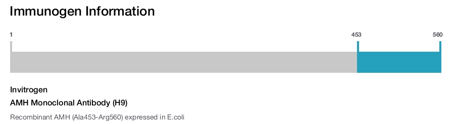 AMH Monoclonal Antibody (H9)