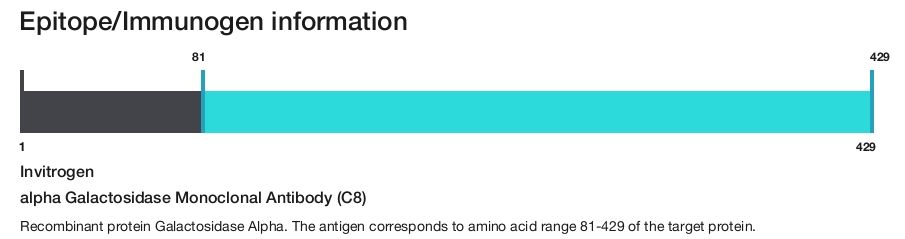 alpha Galactosidase Monoclonal Antibody (C8)