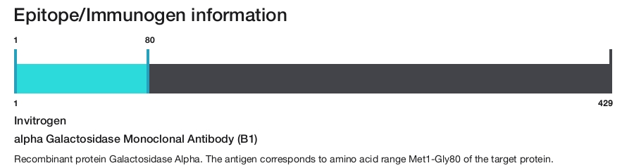 alpha Galactosidase Monoclonal Antibody (B1)